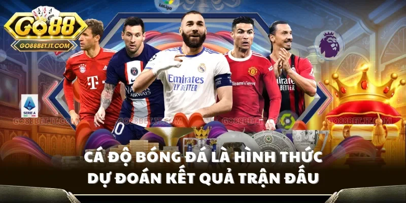 Cá độ bóng đá là hình thức dự đoán kết quả trận đấu