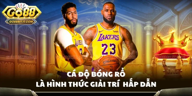 Cá độ bóng rổ là hình thức giải trí  hấp dẫn