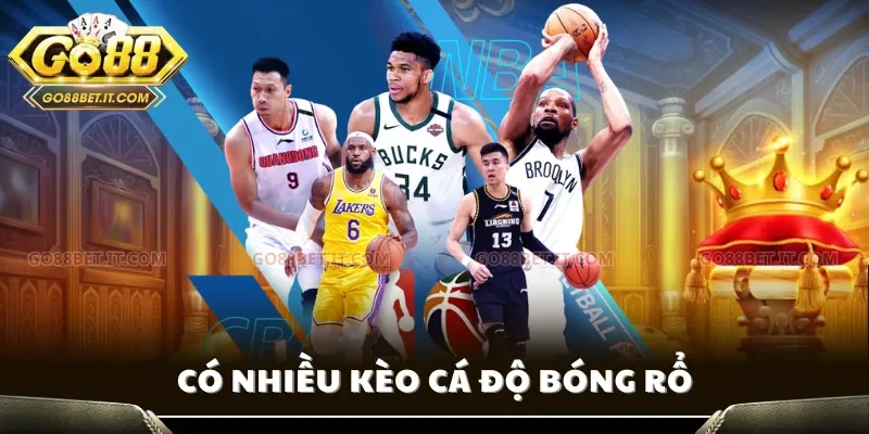Có nhiều kèo cá độ bóng rổ