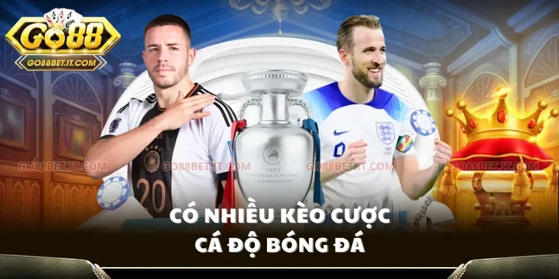 Có nhiều kèo cược cá độ bóng đá