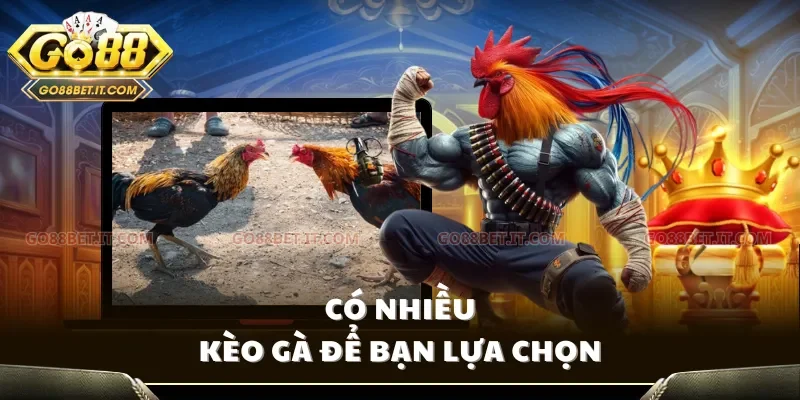 Có nhiều kèo gà để bạn lựa chọn