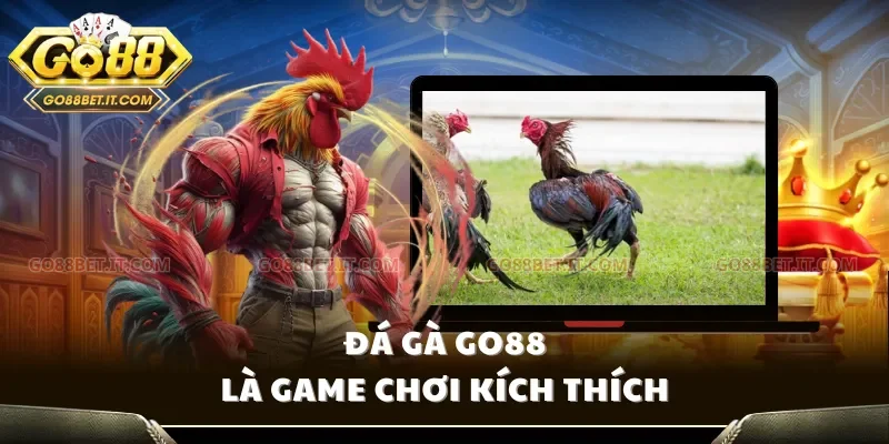 Đá gà Go88 là game chơi kích thích
