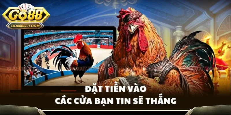 Đặt tiền vào các cửa bạn tin sẽ thắng