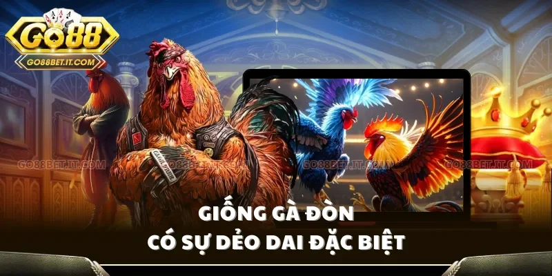 Giống gà đòn có sự dẻo dai đặc biệt